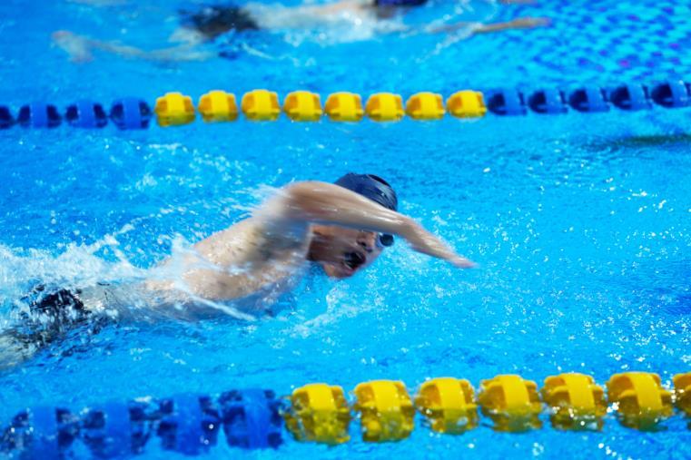 展示, 动会暨第五, alt 展示, 动会暨第五, alt