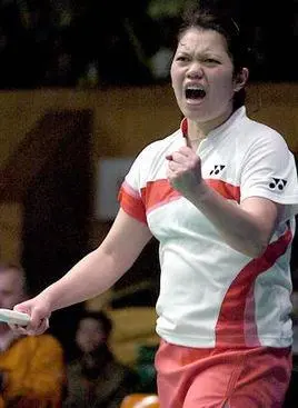 遭到印尼羽 遭到印尼羽